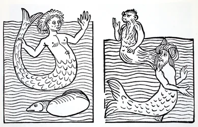 Mermaids and Mermen, from The World Guide to Gnomes, Fairies, Elves and Other Little People by Thomas Keightley, Published 1880
