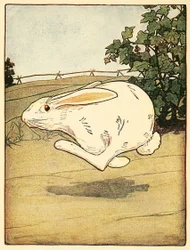 Peter Never Stopped Running, from The Tale of Peter Rabbit