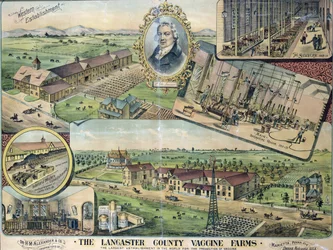 Plan of the Lancaster County Vaccine Farms, Nebraska