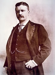 President Theodore Roosevelt