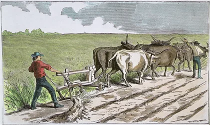 Sodbusters of the American West, c.1880