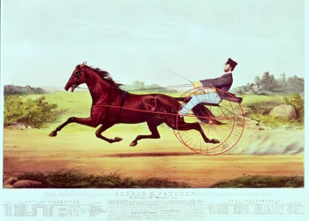 The Celebrated Horse, George M. Patchen, The Champion of the Turf