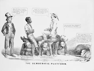 The Democratic Platform (political cartoon commenting on the Democratic party
