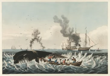 The Whale Fishery - Attacking a 