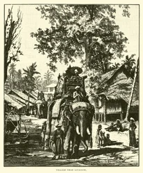 Village Near Lucknow