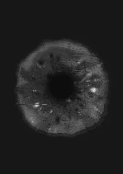 Cosmic Eye