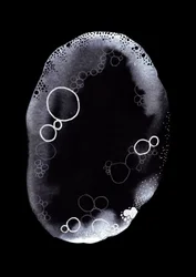 Monochrome Bubble Essence