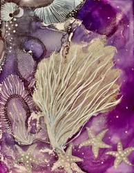 Purple Coral Starfish