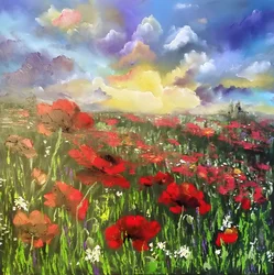 Sunset Poppy Field