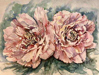 Vibrant Pink Peonies