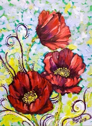 Vibrant Poppy Blooms