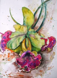 Vibrant Watercolor Orchid
