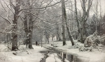 Thaw in a Beech Forest
