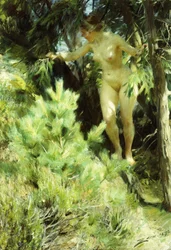 Wood-Sprite, 1892