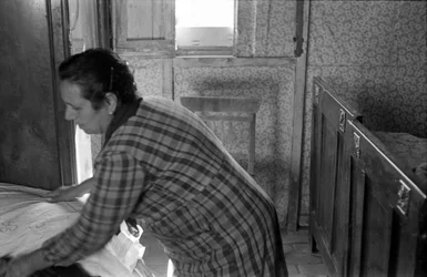 Crotonese Housewife