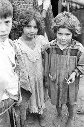Children Awaiting to be Employed as Nuts Picker in Qualiano, Naples, Campania, Italy