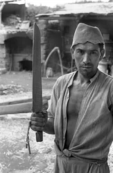 Hemp Processing, a Workman with a 