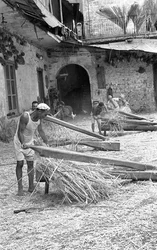 Hemp Processing, Crushing