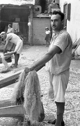 Hemp Working, Raffaele Corcione