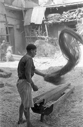 Processing of Hemp, Elimination of Slag