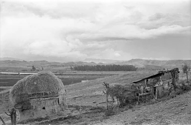 Shack with Barn