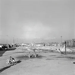 Working District, Crotone