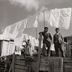 Working District, Crotone