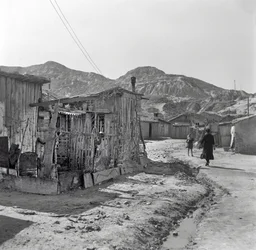 The Shanghai District, Crotone