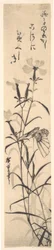 Black and White Print of Butterfly and Flower a Pink