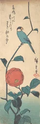 Camellia and Finch