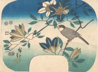 Clematis and Bird