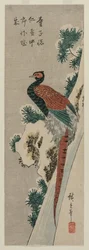 Copper Pheasant by Snowy Waterfall, Late 1830s or Early 1840s
