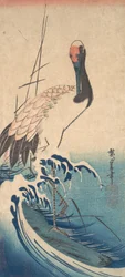 Crane and Surf