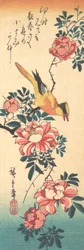 Eastern Grey Wagtail and Rose, early 1830s