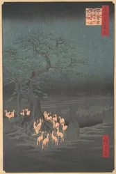 Foxes Meeting at Oji