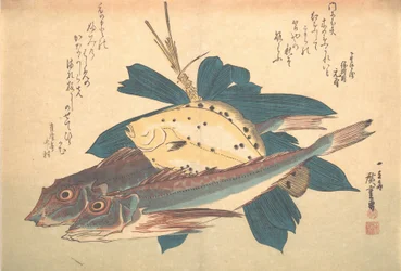 Kanagashira and Karei Fish, from the series Uozukushi Every Variety of Fish