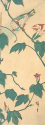 Morning Glories and Bird