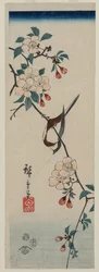 Small Bird Swallow on Cherry Branch
