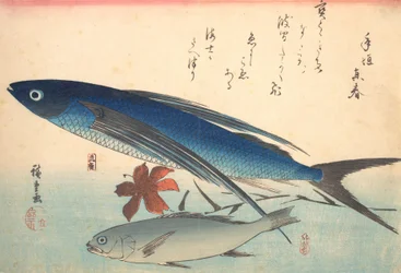 Tobiuo and Ishimochi Fish, from the series Uozukushi Every Variety of Fish