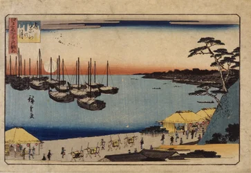 Sailboats in Harbor