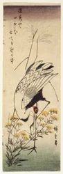 Crane with Wild Mustard