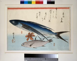 Flying Fish, Ishimochi Fish and Lily