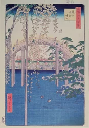 Footbridge Over River with Wisteria in Foreground in Full Bloom