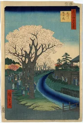 Sightseers Viewing Cherry Blossoms along the Banks of the Tama River at Edo, woodcut by Ando Hiroshige