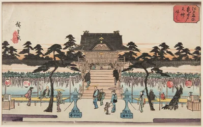 Wisteria at Kameido Tenjin Shrine