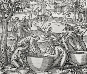 Cap de Frie, women preparing food, engraving, South America