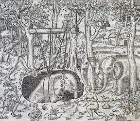 Elephant Hunting on Island of Java, from Universal Cosmology