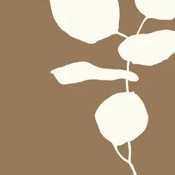 Minimalist Botanical Forms