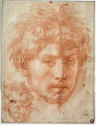 Head of man