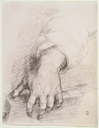 Study of a Hand for the Madonna of the Harp